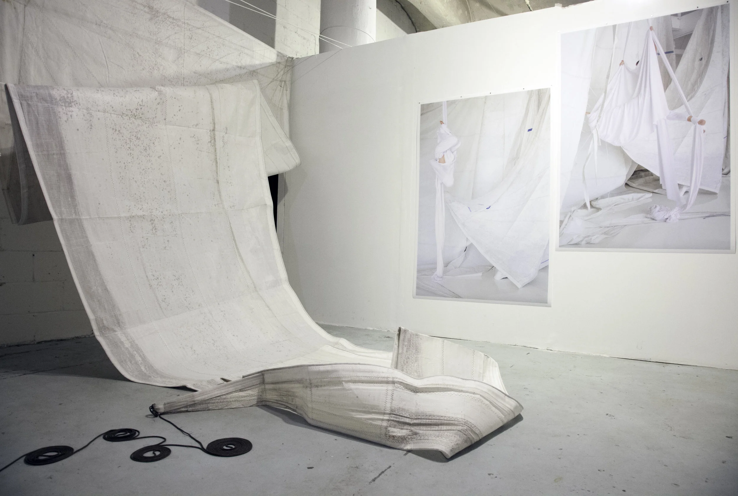Installation for Like Fine Wine, la Bodega Gallery, Baltimore, MD 2016