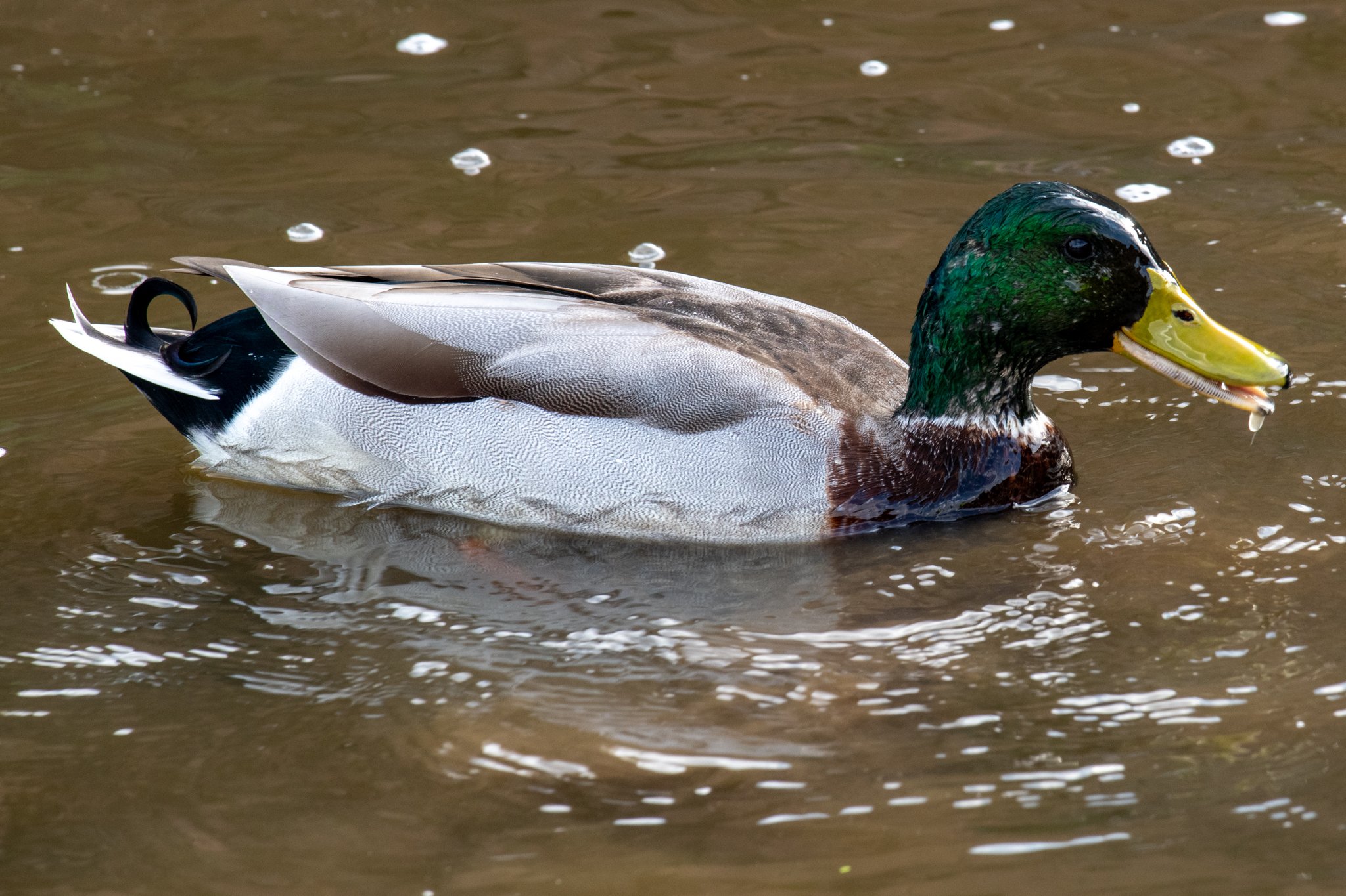 DSC_6831.jpg