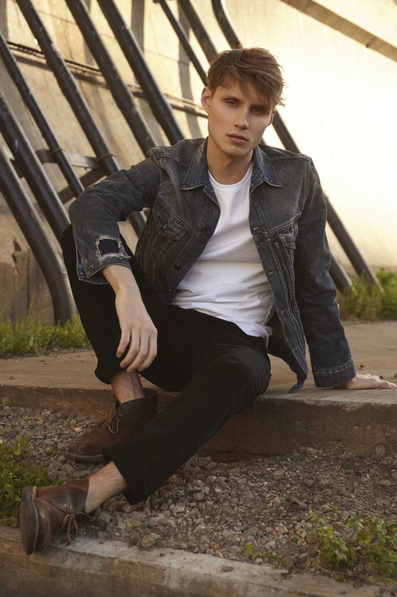 David Rose By Chris Carroll 12245.jpg