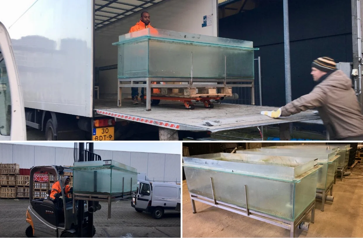GroenCollect gaat ook in kweekvijvers