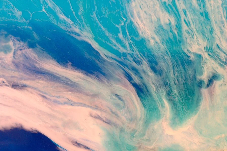 Roberta Dracxler Meaker MD