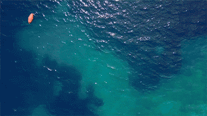 intro_03.gif
