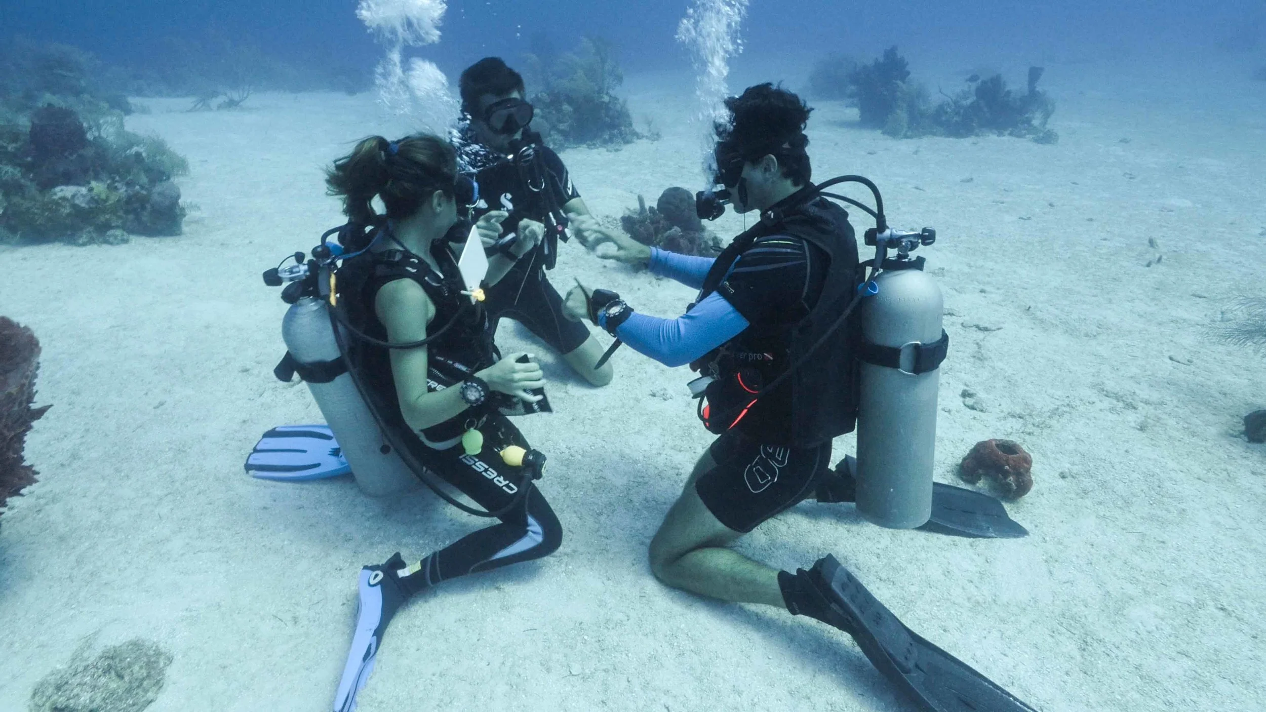 A Roatan Divers Instructor teaching students