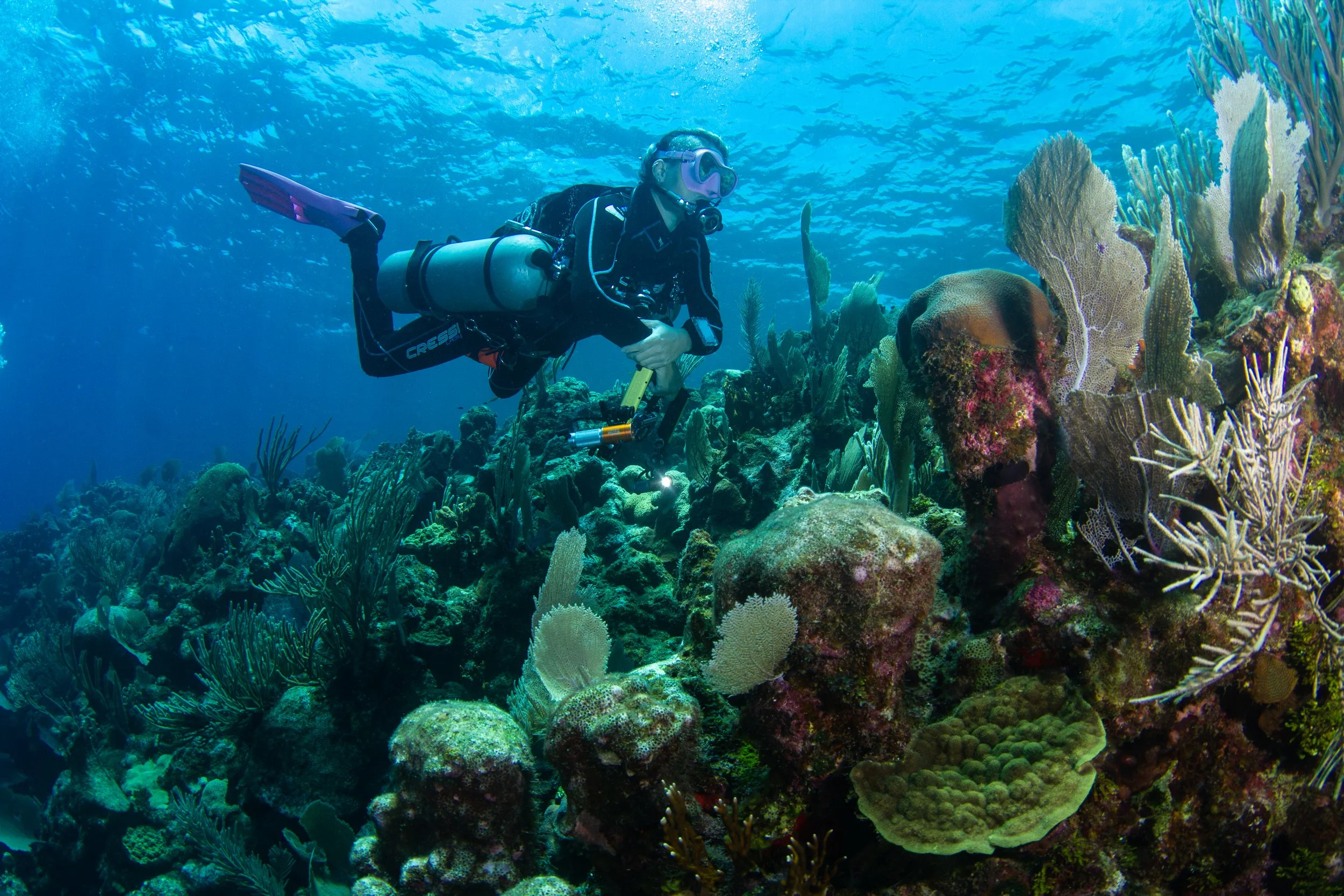 PADI Divemaster Training Roatan Divers