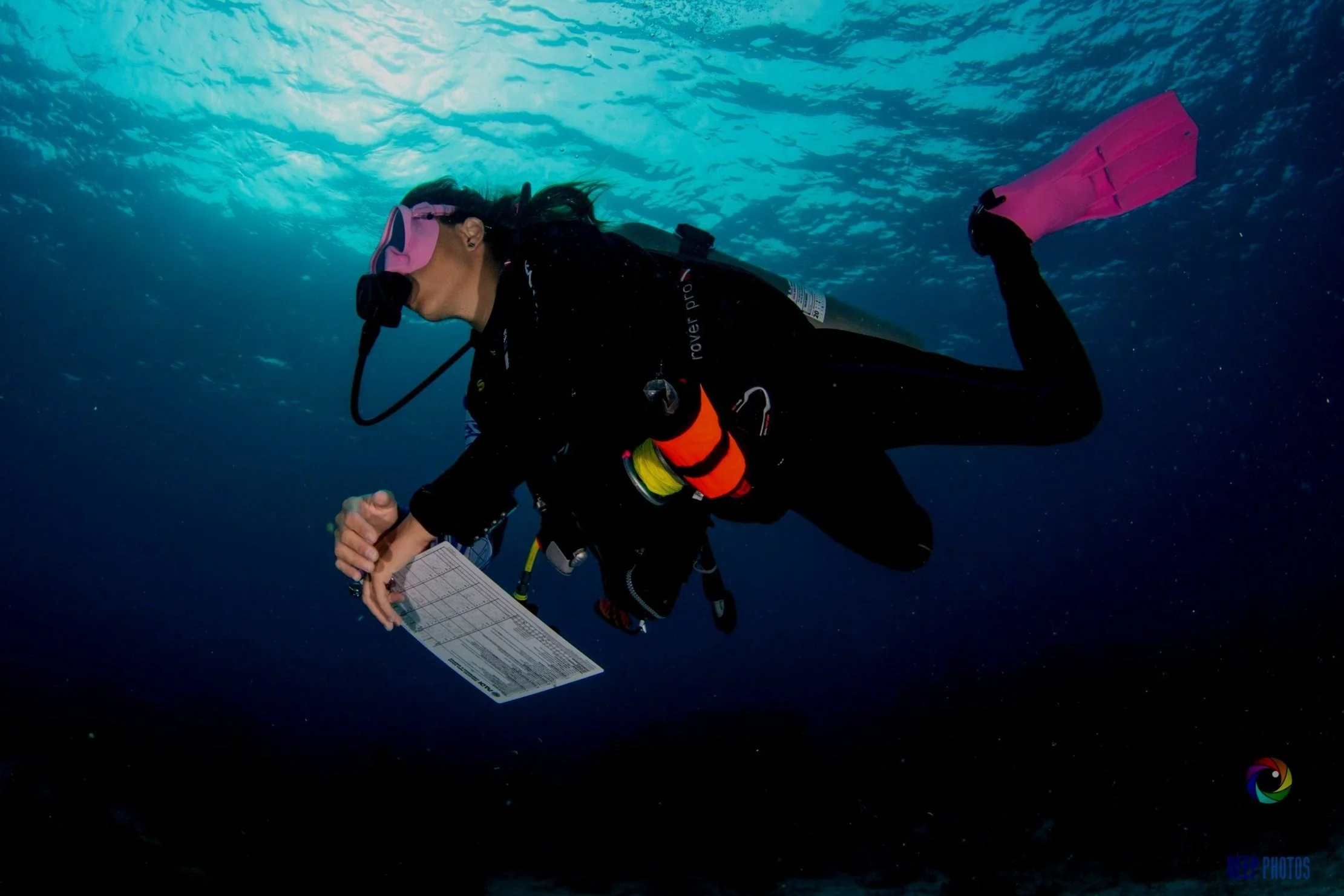 PADI IDC and Divemaster Training Roatan Divers