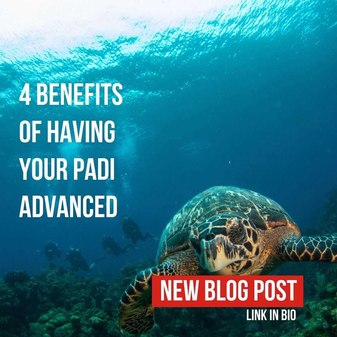 Do you have your PADI Open Water and are not sure if your Advanced certification is even necessary? In this month&rsquo;s blog, we&rsquo;re breaking down the four biggest (and somewhat surprising) benefits to holding the Advanced card.

Getting your 