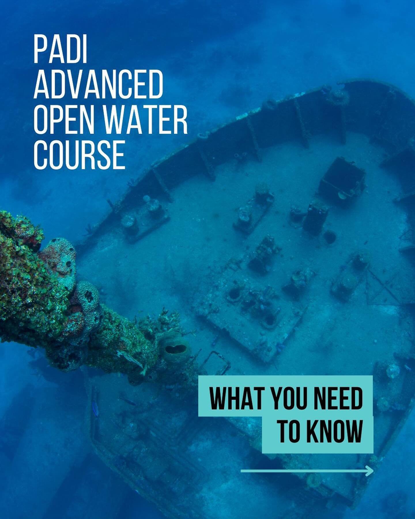 Curious about getting your PADI Advanced? There are so many fun things to do and learn during this course. And the best part? Any dive that piques your interest actually counts as the first dive of the corresponding specialty!

Our newest blog talks 