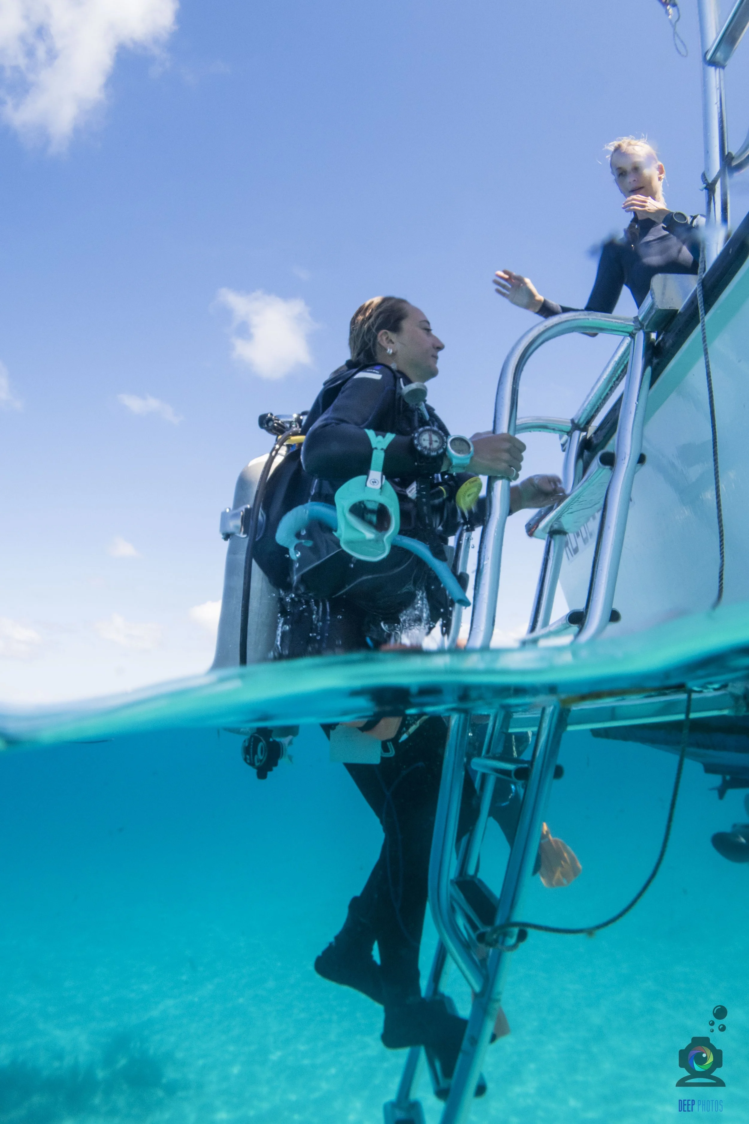 Difference Between Divemaster and Dive Instructor Roatan Divers