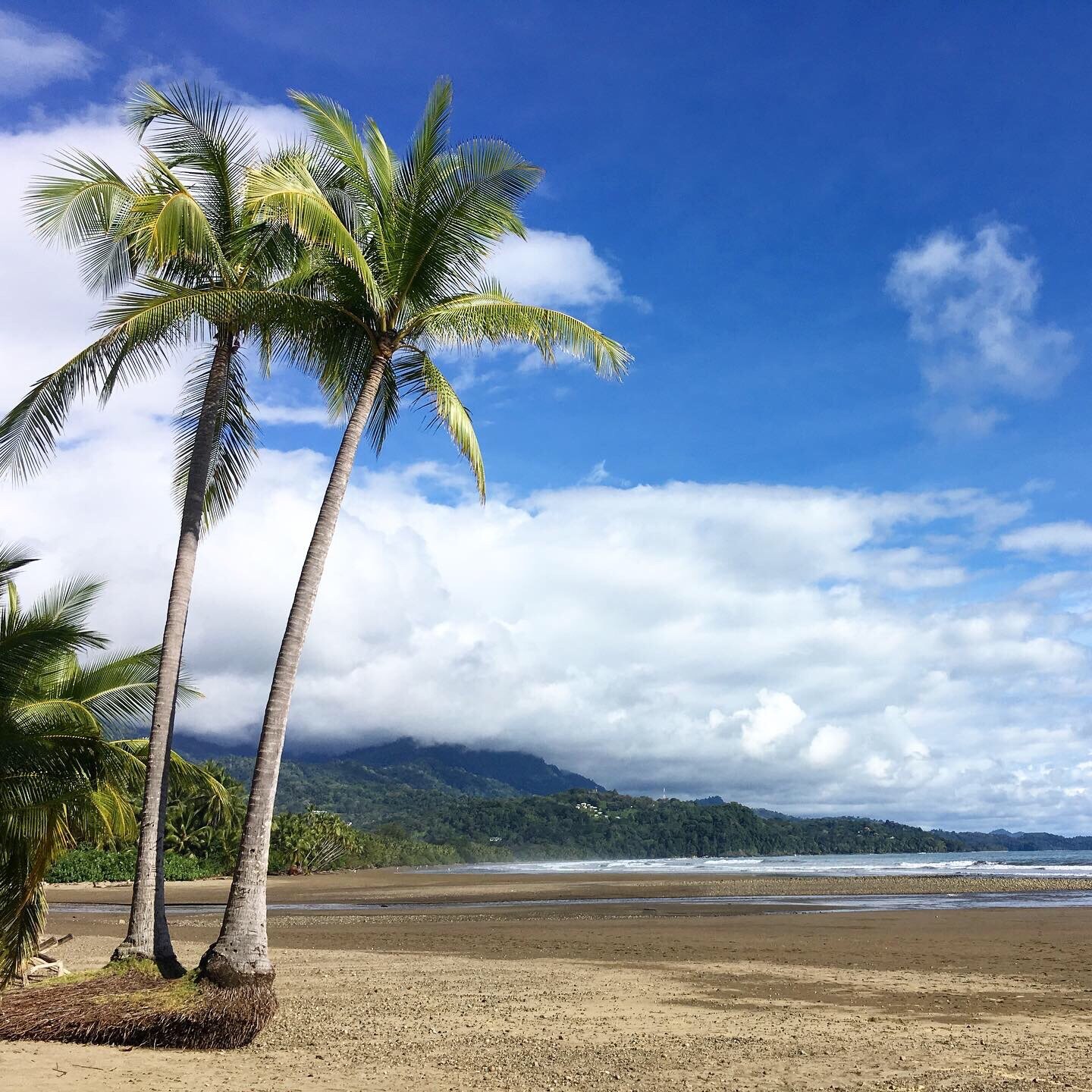 moving back to Costa Rica beach front how I became a school counselor