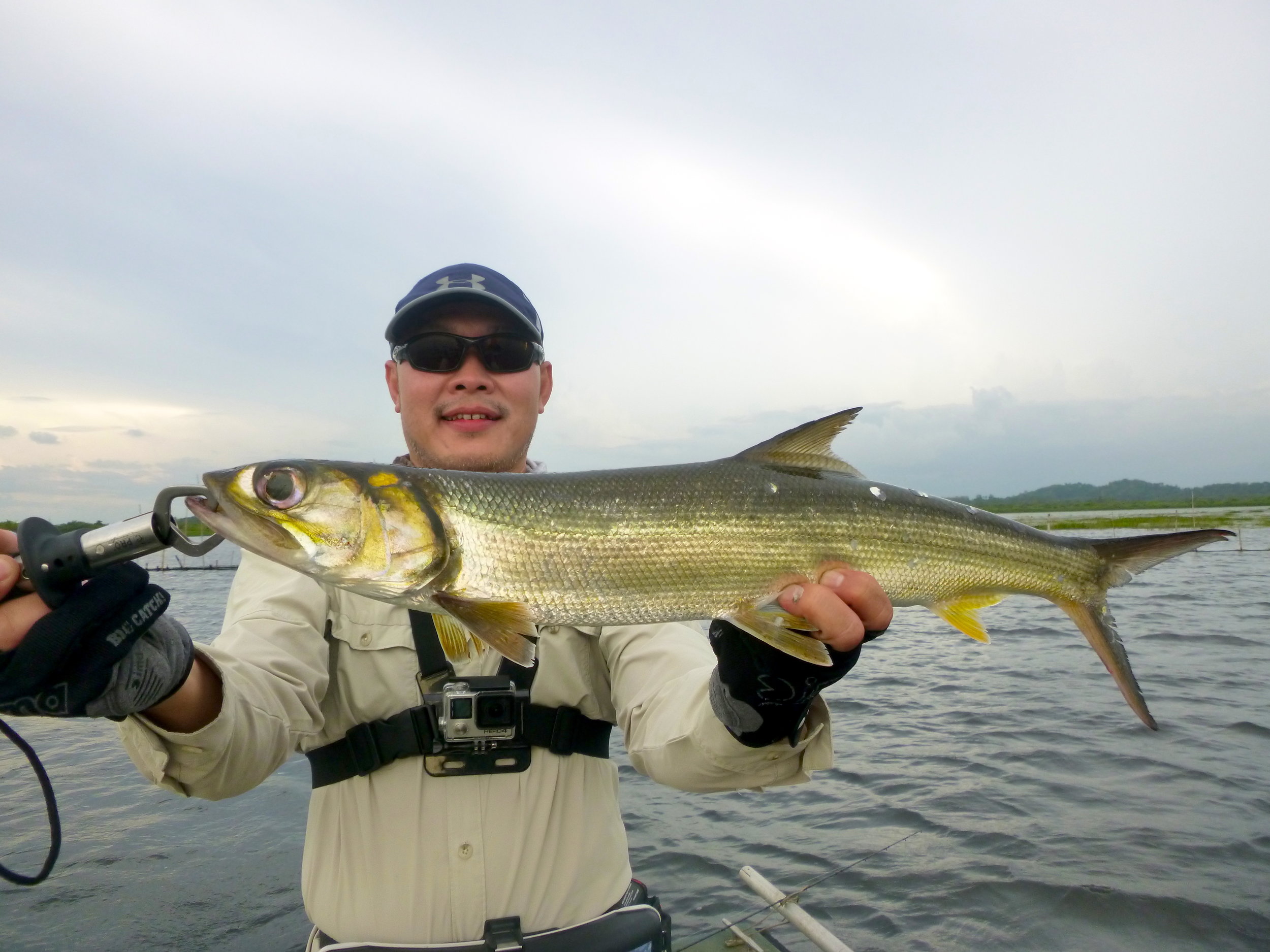 How To Catch Ladyfish - The Angler Within best ways to catch