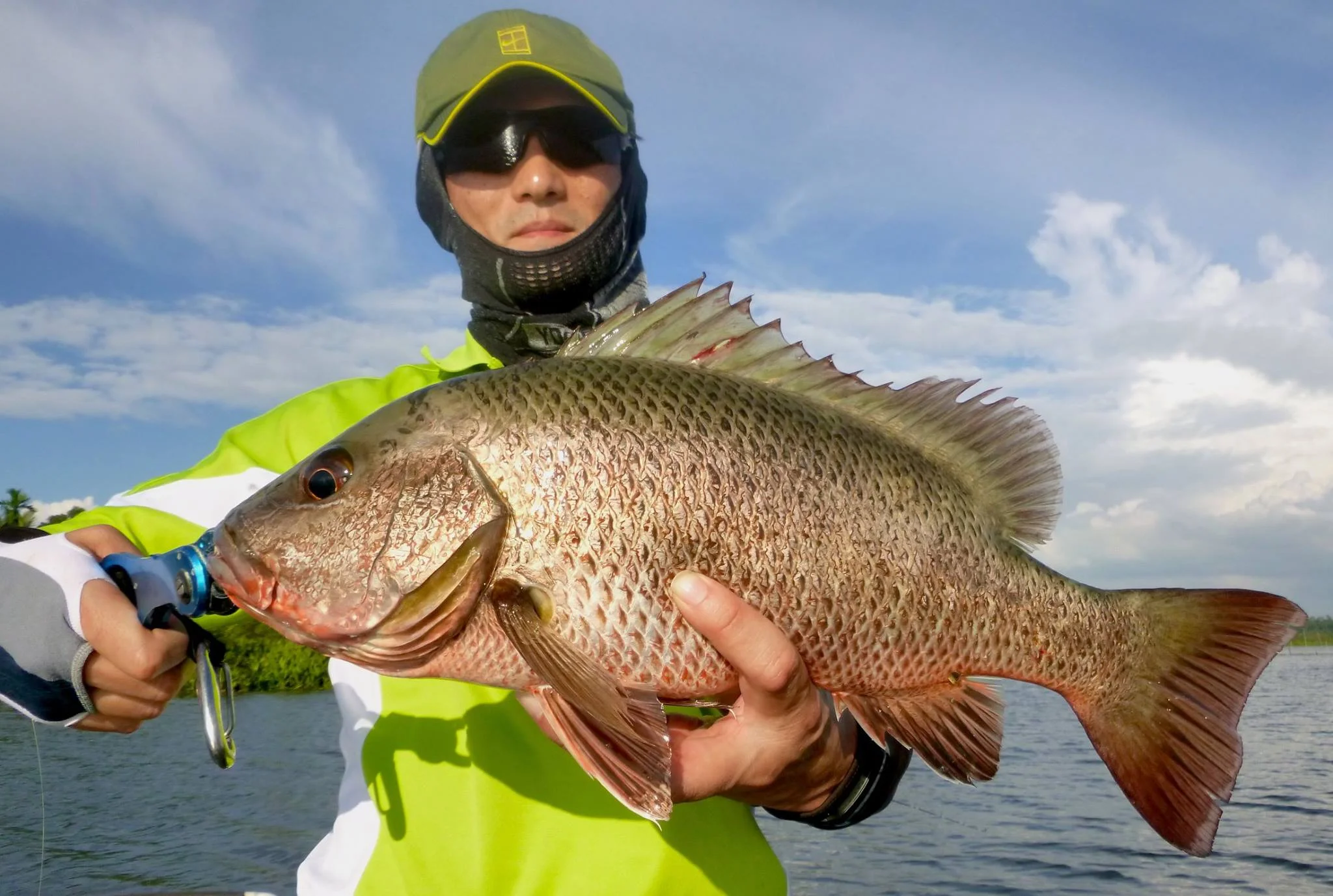 Lure fishing Sri Lanka Mangrove Jack.jpg
