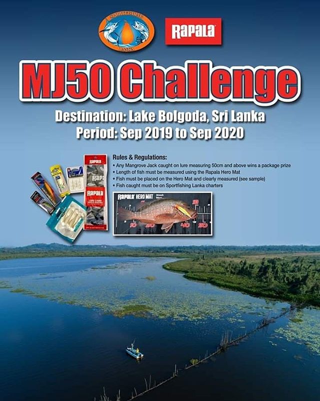 MJ50 Challenge !!! Come fishing with us to catch a big mangrove jack to win a Rapala package prize.
#rapala #rapalalures #rapalafishing #vmchooks #sportfishinglanka #catchandrelease #bolgodalake #fishingsrilanka #srilankafishing #fishingsrilanka