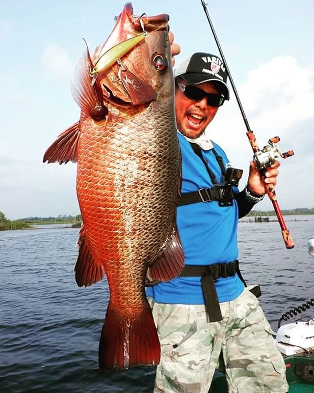 Japanese fishing super star Kozo Okubo caught a big 50 cm mangrove jack at Bolgoda Lake !!!
#kozookubo #smithlures #kozexpedition #mangrovejack #lurefishing #sportfishinglanka #fishinginsrilanka #srilankafishing #bolgodalake