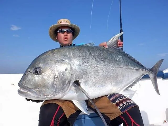 GT popping is on fire in Sri Lanka !!!
#gtpopping #gtfishing #gianttrevally #gianttrevallyfishing #fishinginsrilanka #fishingsrilanka #srilankafishing #fishingguideservice #fishingtrip #fishingguides #topwaterfishing #popperfishing #popperlure #sport