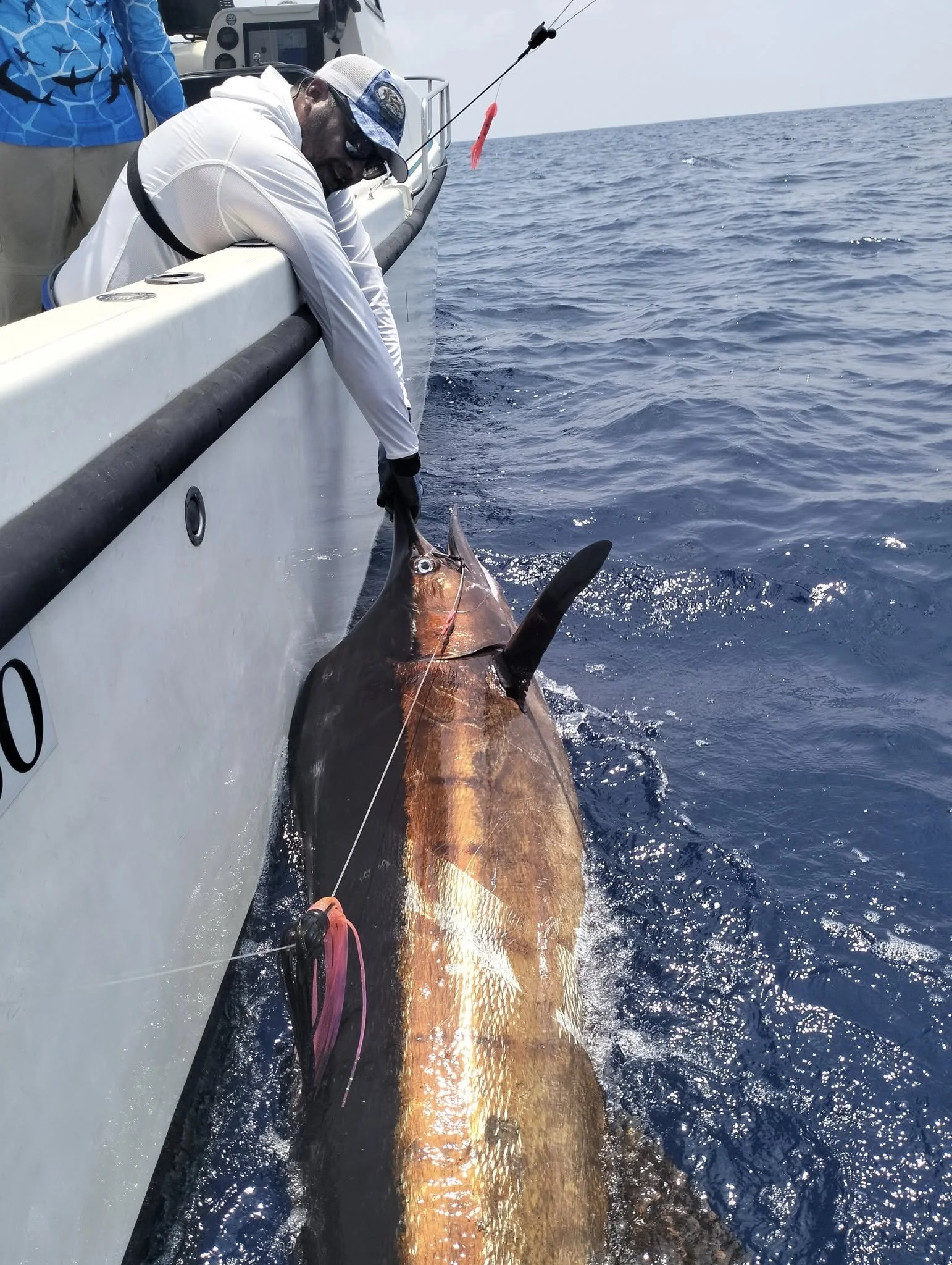 Blue Marlin big game fishing sri lanka.jpg