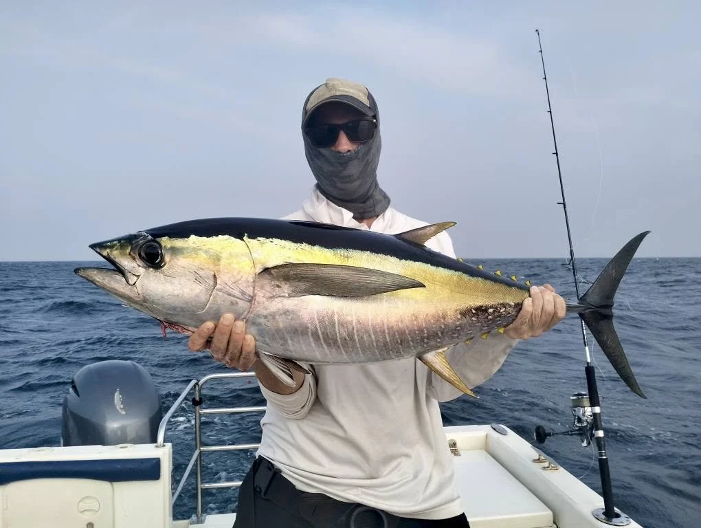 Yellowfin tuna jigging sri lanka.jpg
