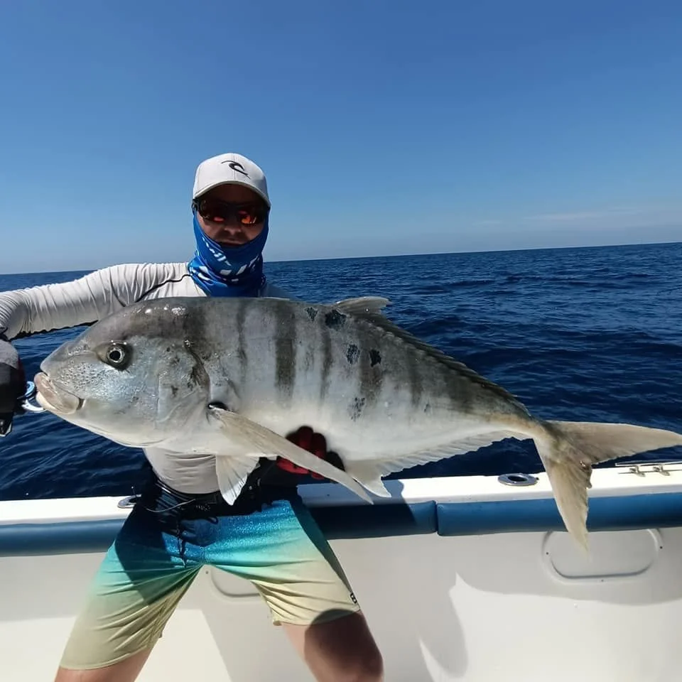 Golden trevally jigging sri lanka.jpg