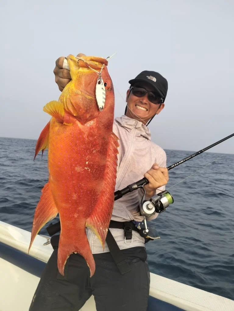 Moontail grouper jigging sri lanka.jpg