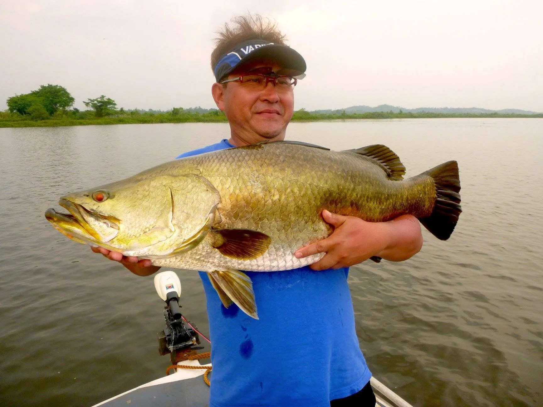 Big barramundi sri lanka Bolgoda Lake.jpg