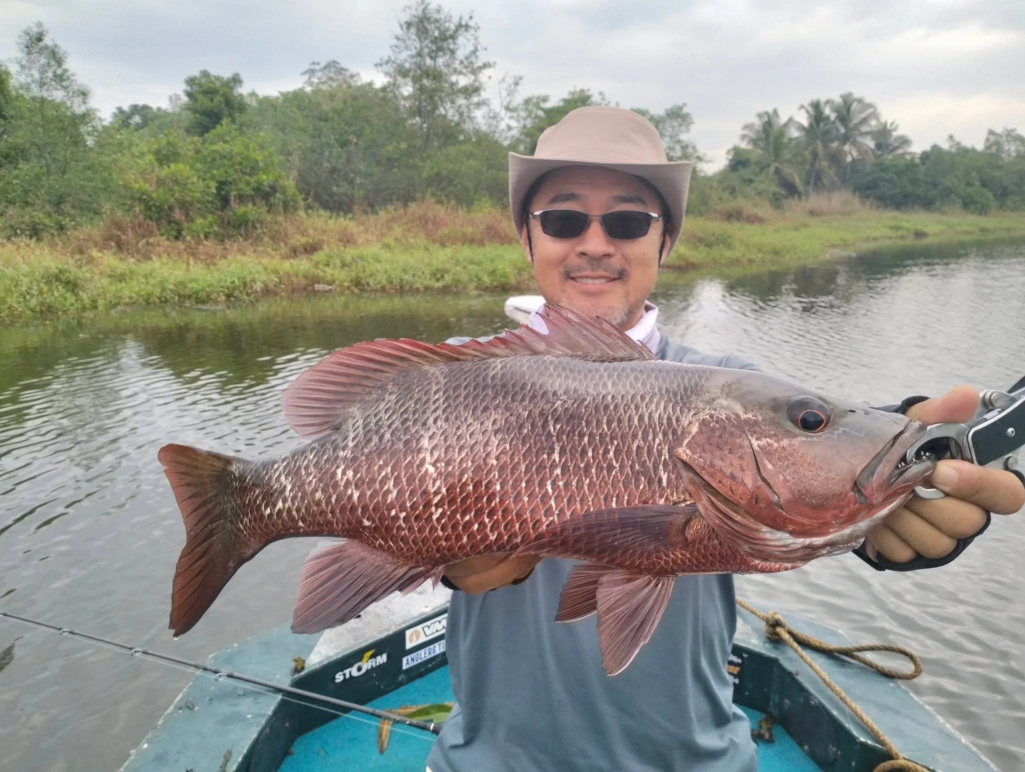 Mangrove snapper.jpg