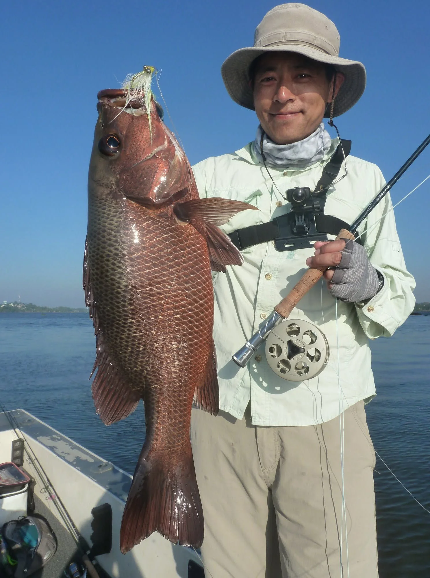 Fly fishing sri lanka Bolgoda Lake mangrove snapper.jpg