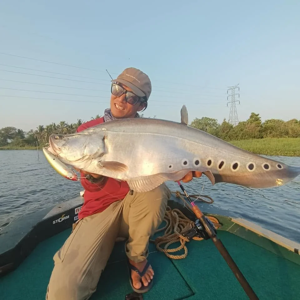 Bolgoda lake Featherback fishing sri lanka.jpg