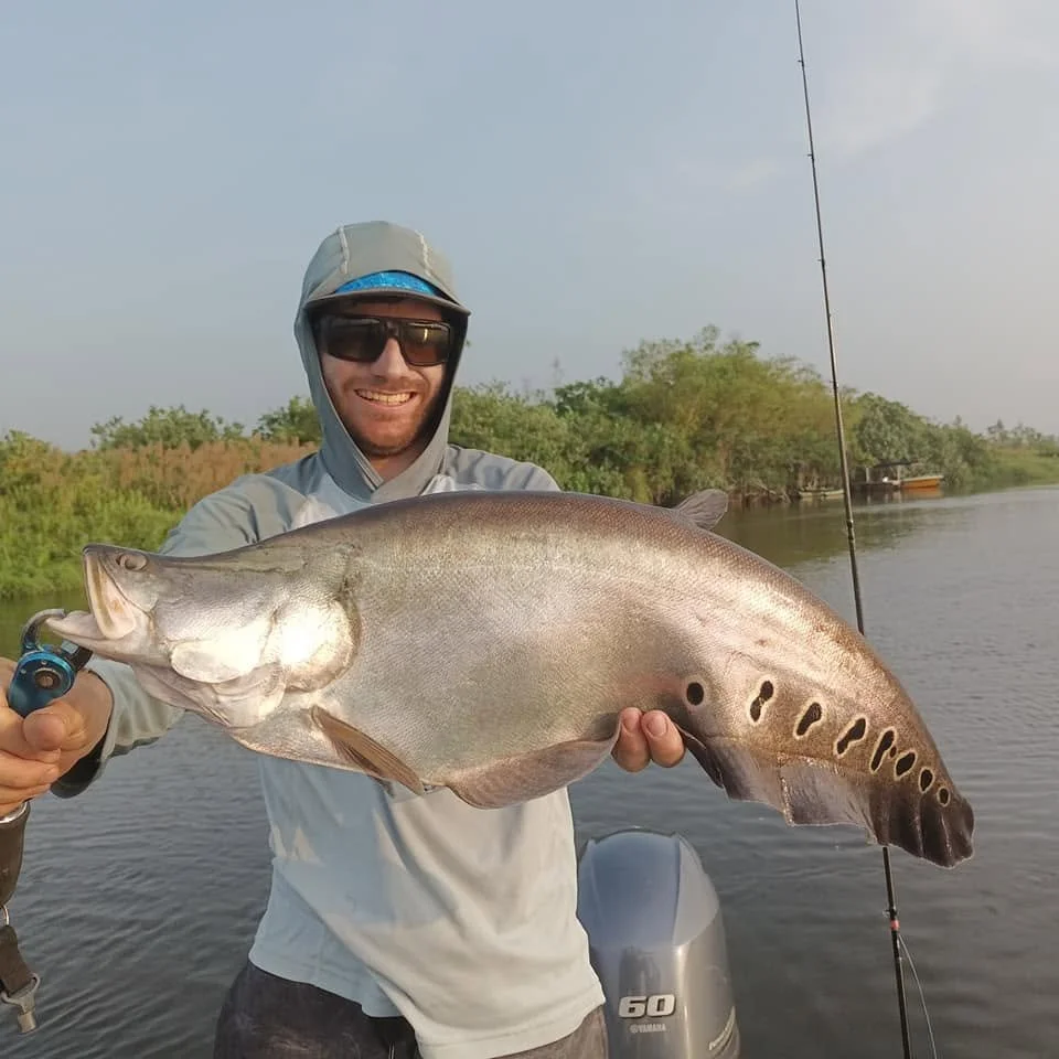 Sri lanka fishing featherback Bolgoda Lake.jpg