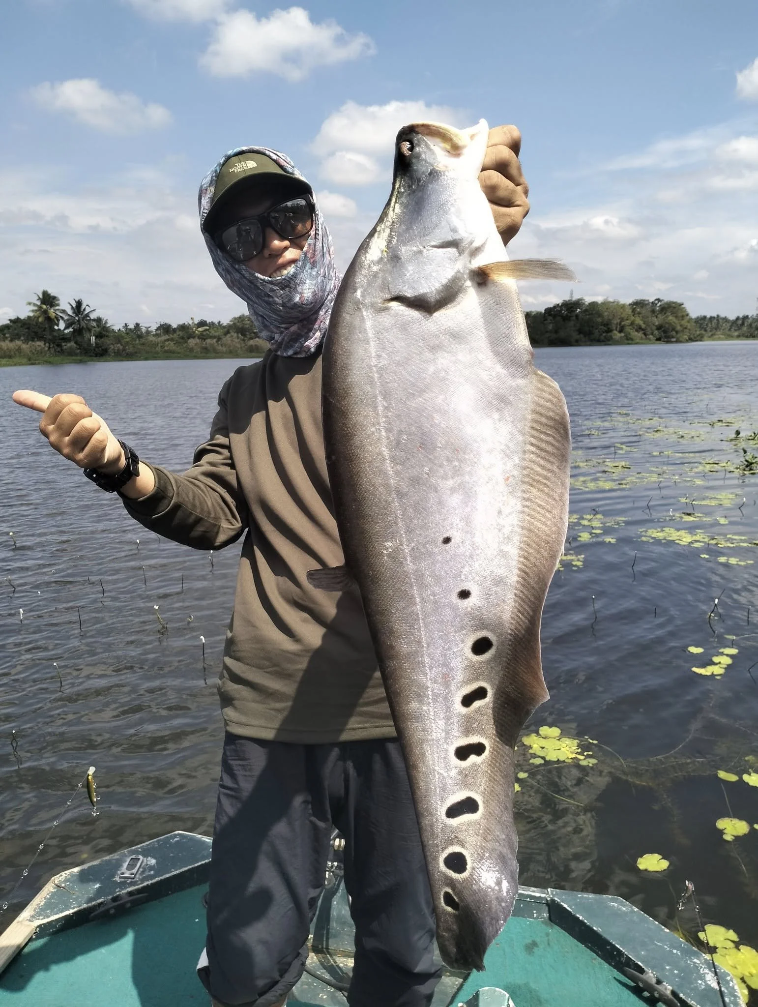 Bolgoda lake fishing featherback sri lanka.jpg