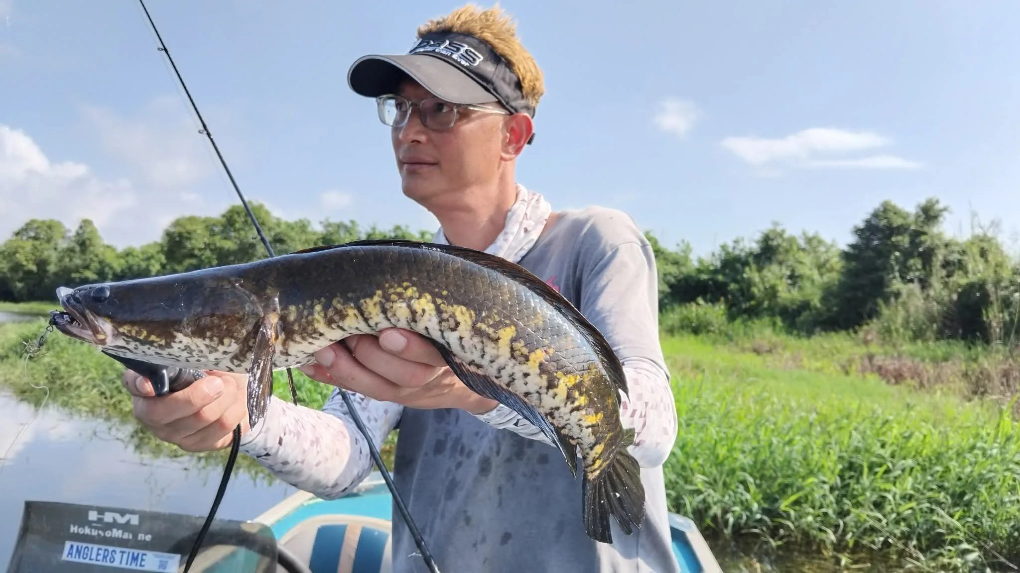 Snakehead sri lanka Bolgoda Lake.jpg