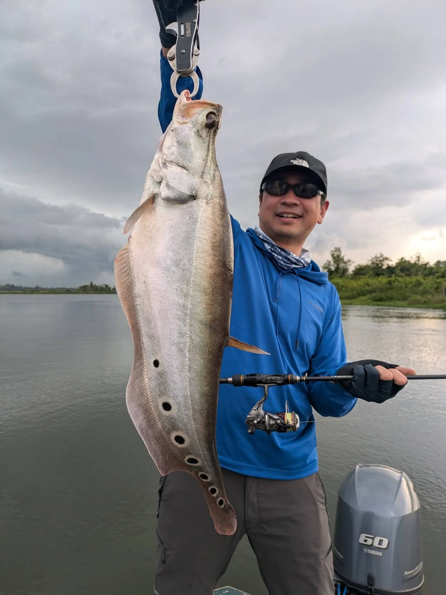 Featherback sri lanka fishing bolgoda lake.jpg