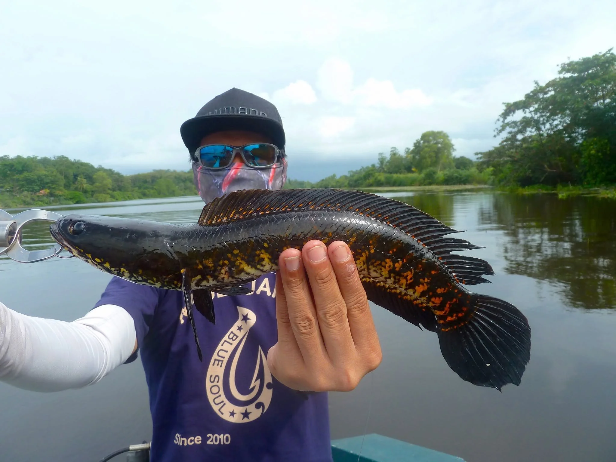 Snakehead fishing sri lanka.jpg