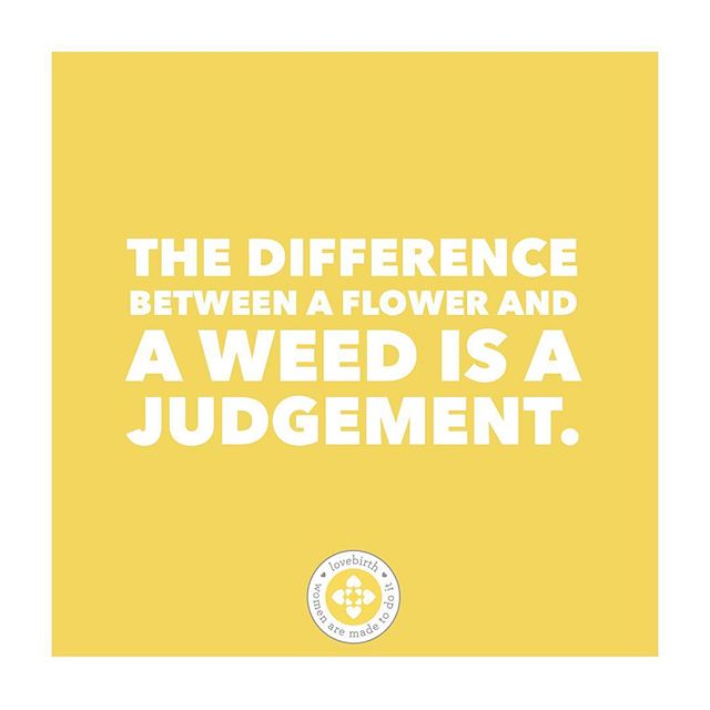 Don't let the fear of how others may judge you dictate how you give birth or parent. Do what you feel is right for yourself and your growing family. 💐
.
.
.
.
.
#teenbirth #allfamiliesmatter #baby #babymama #birthmatters #fullsprectrumdoula #abortio