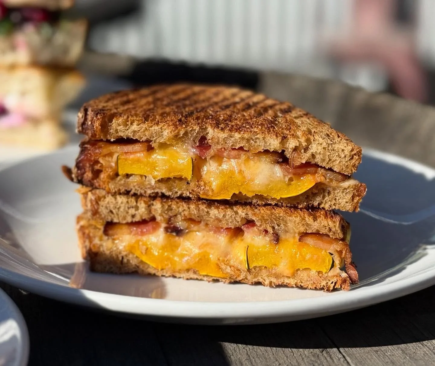The Fall lunch menu is here!! 

Pictured:
*Roasted Squash &amp; Bacon Grilled Cheese (made with @oakrose_farm delicious delicata squash)
*Turkey Chutney
*Pickled Beet &amp; Goat Cheese Foccacia Sandwich (made with @saurfarmer big ass beets)
*Pine Str