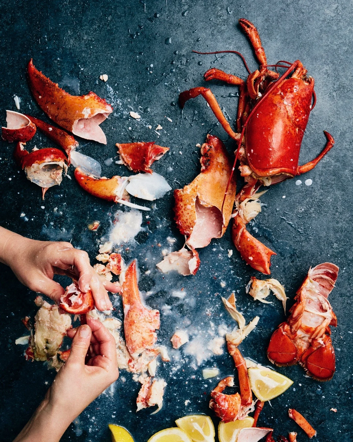 LobsterPound(ed).jpeg