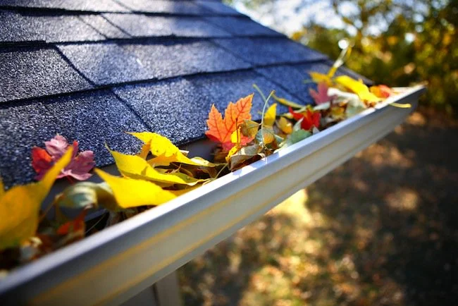 Gutter Cleaning.jpg