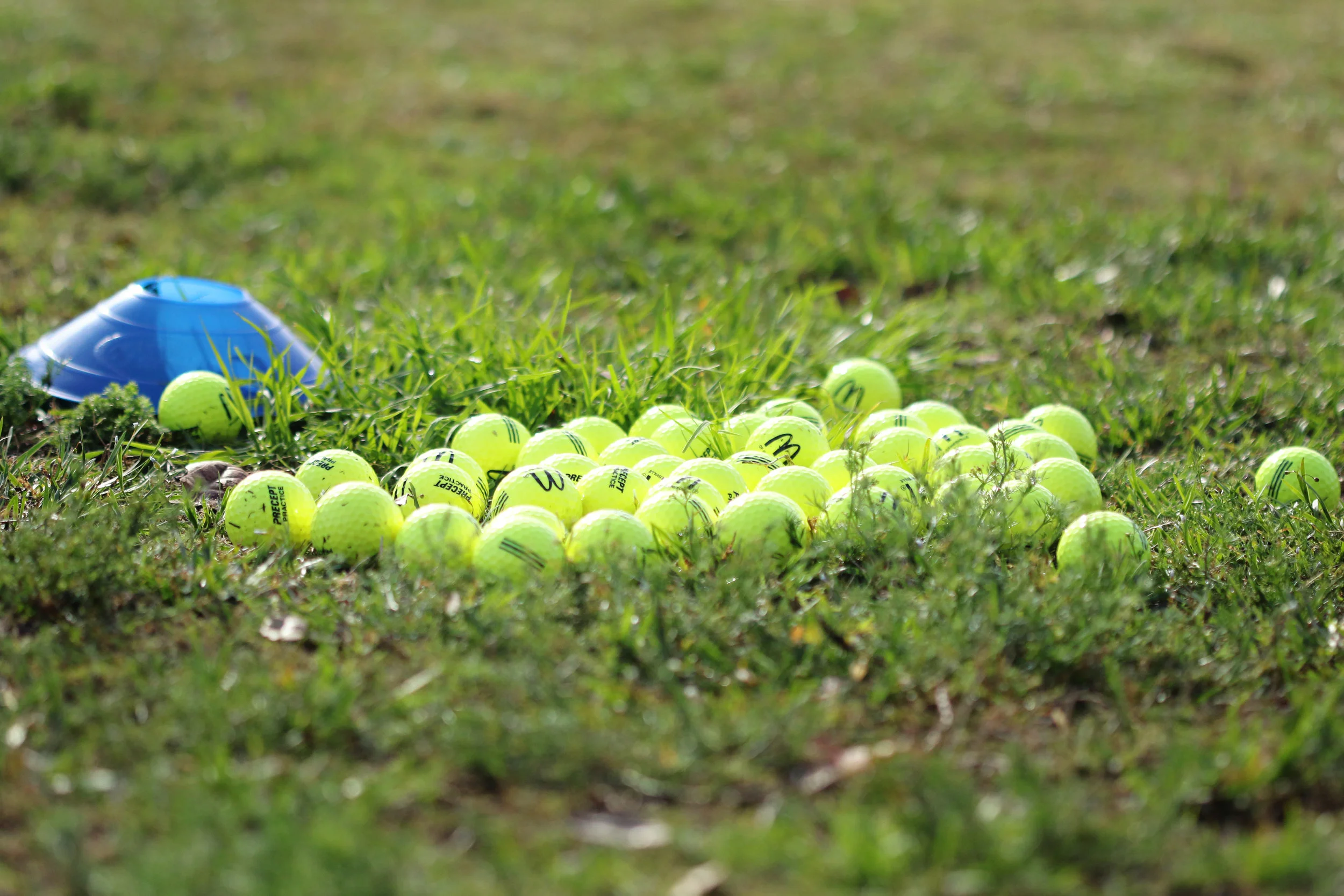 Spring 2017 GJGA 009.JPG