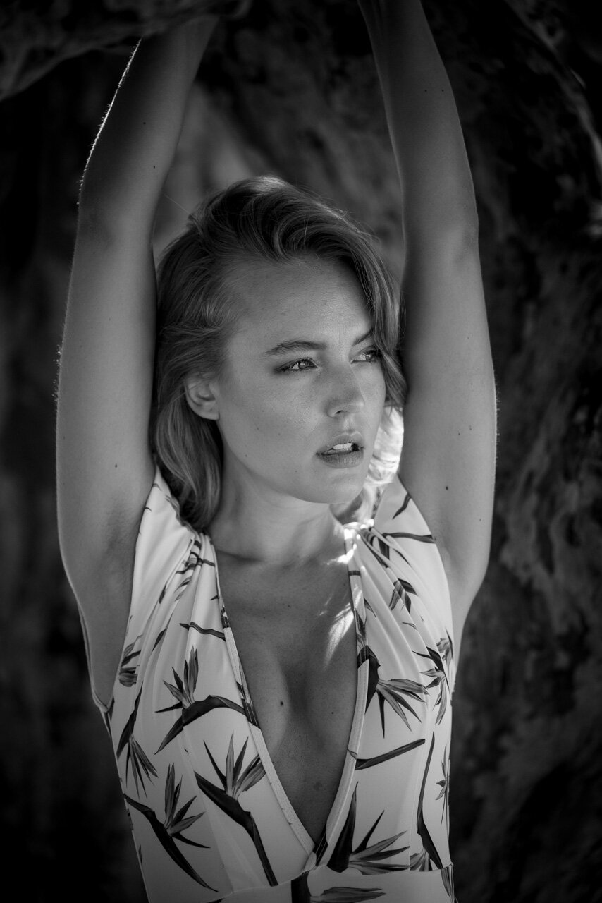 DSC04929_bearb.jpg