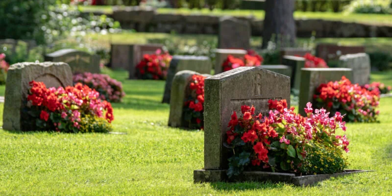 No te mueras con tus muertos