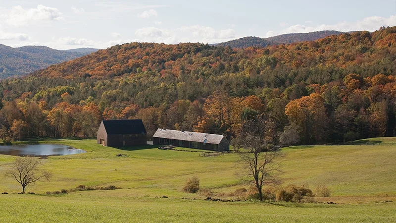 Immersion Vermont Master Class (TUTOR)