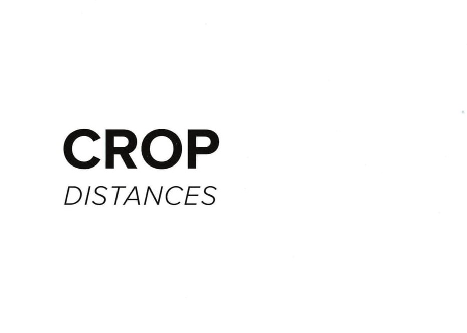 CROP 08 (INTERVIEW)