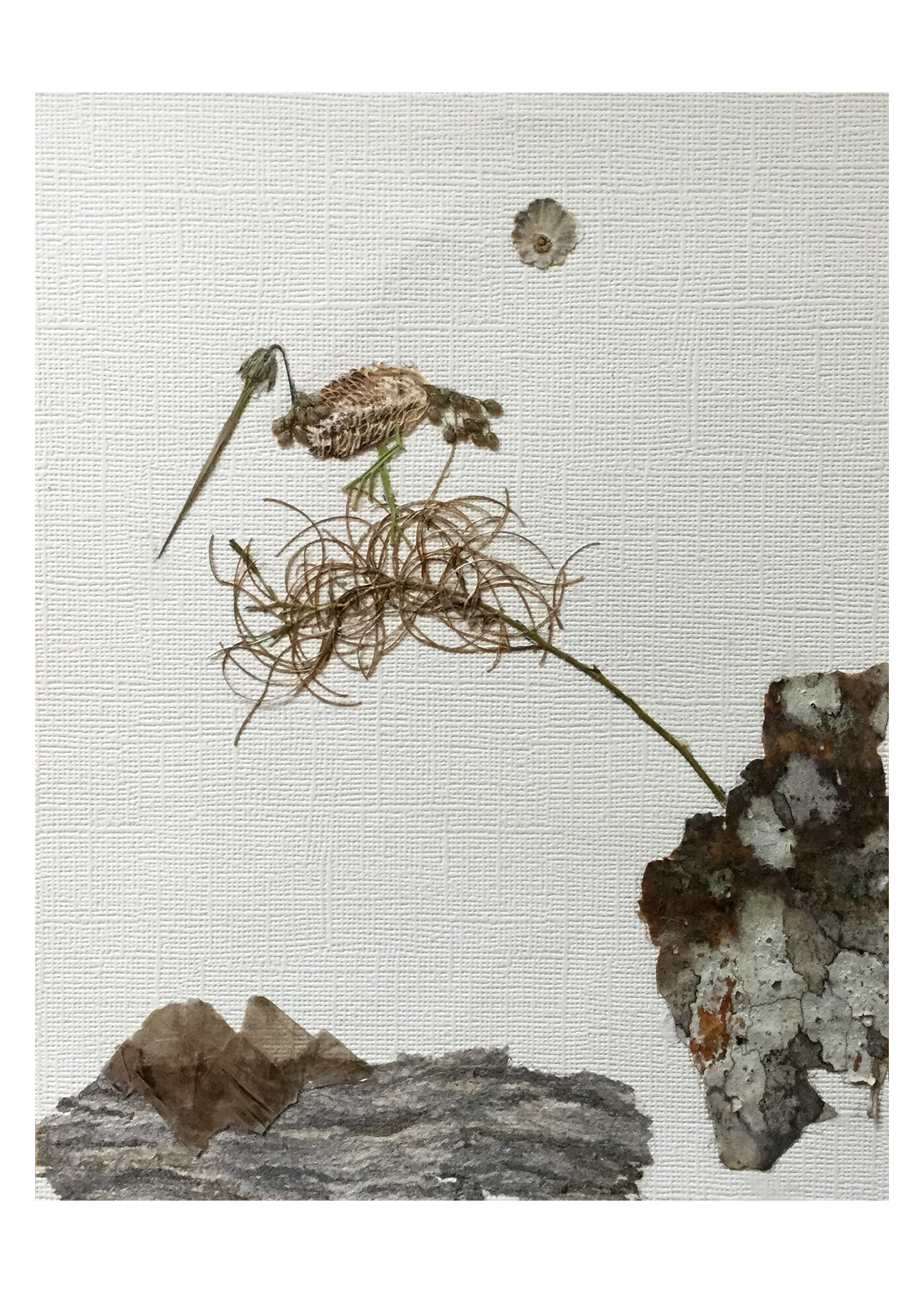 “Ready at Cliff's Edge/Bird in Paradise”