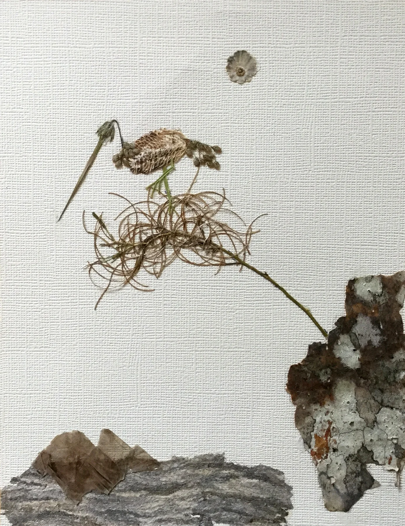 “Ready at Cliff's Edge/Bird in Paradise”