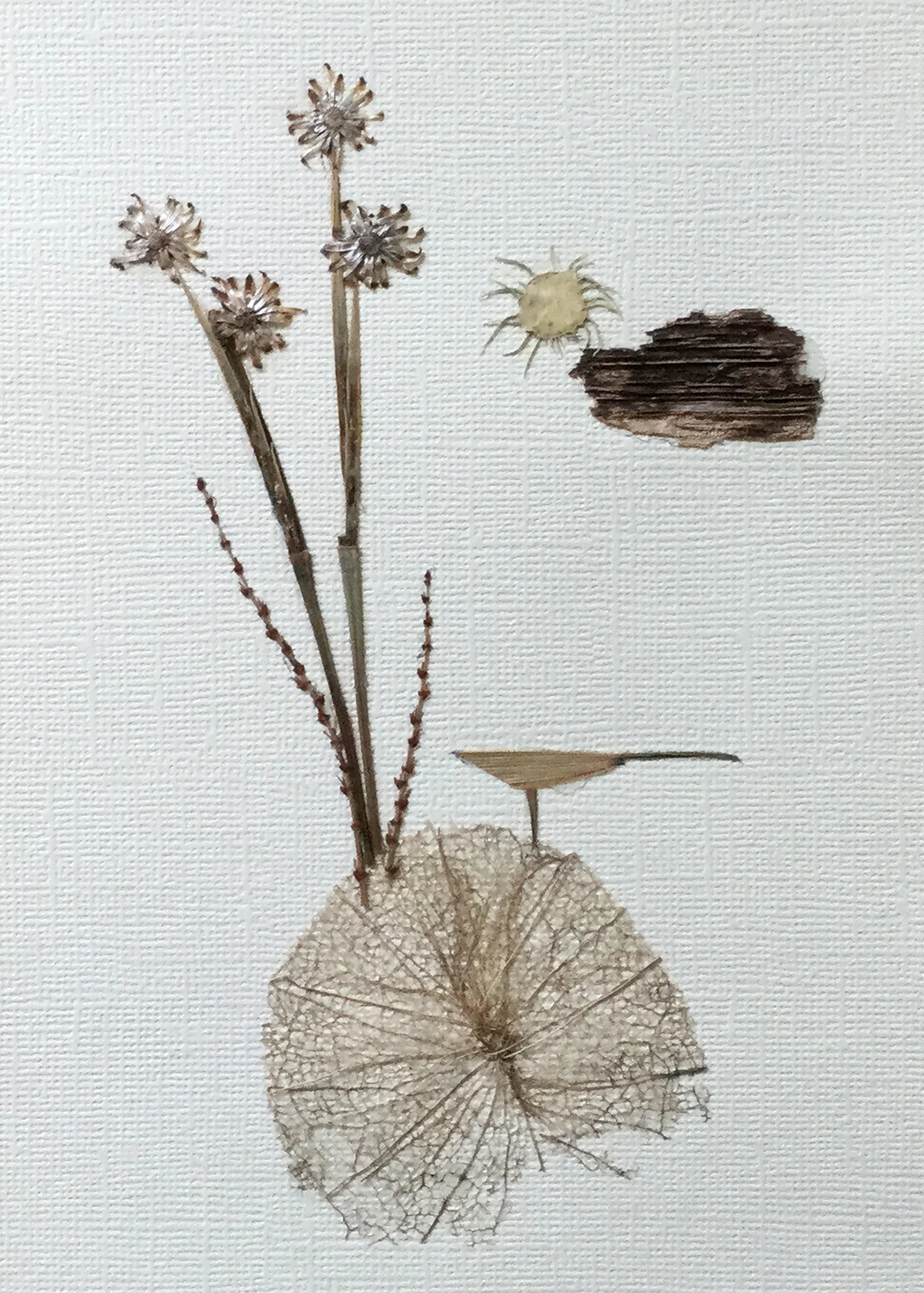 “Transparent Island”