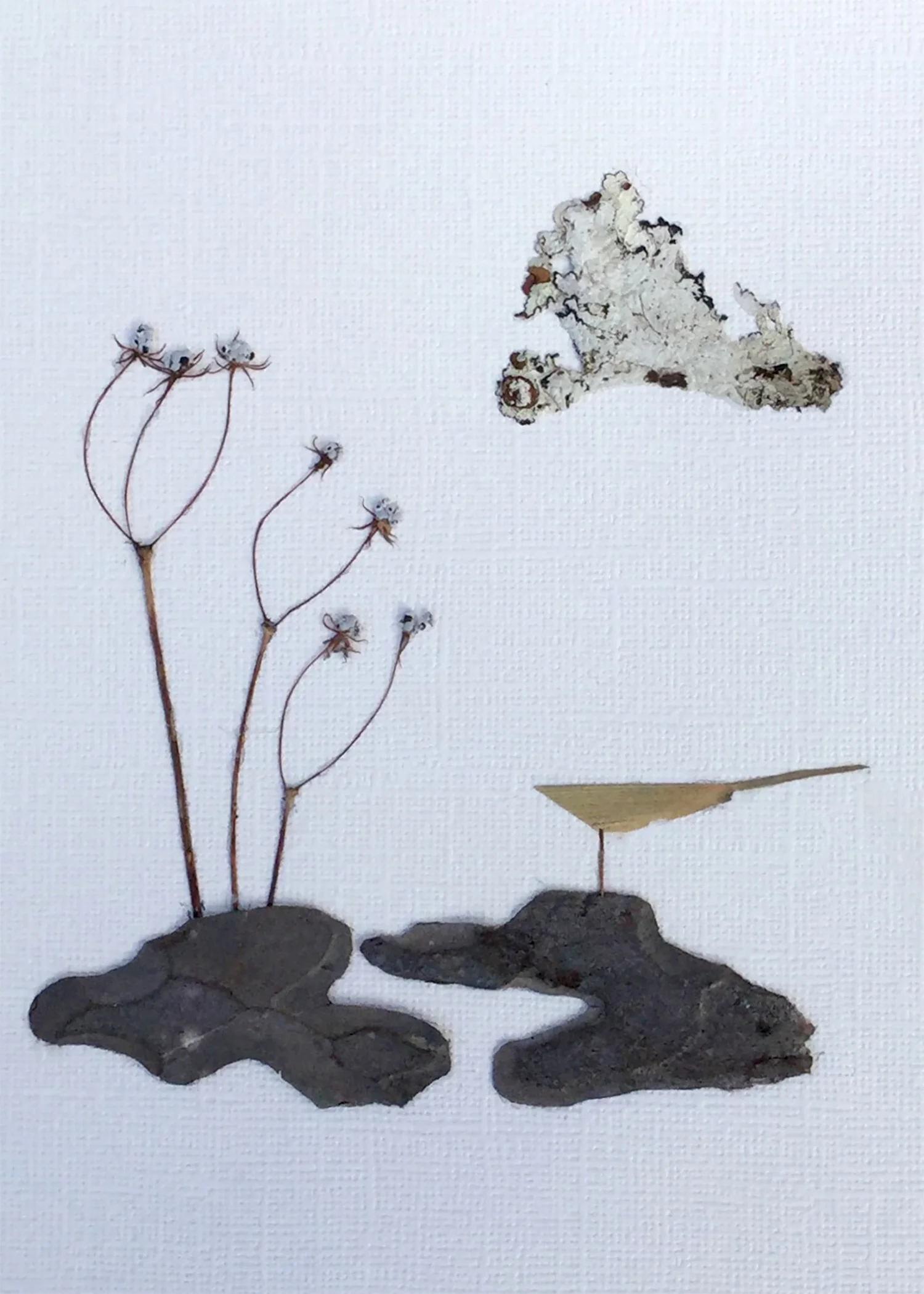 “Whisper Island”