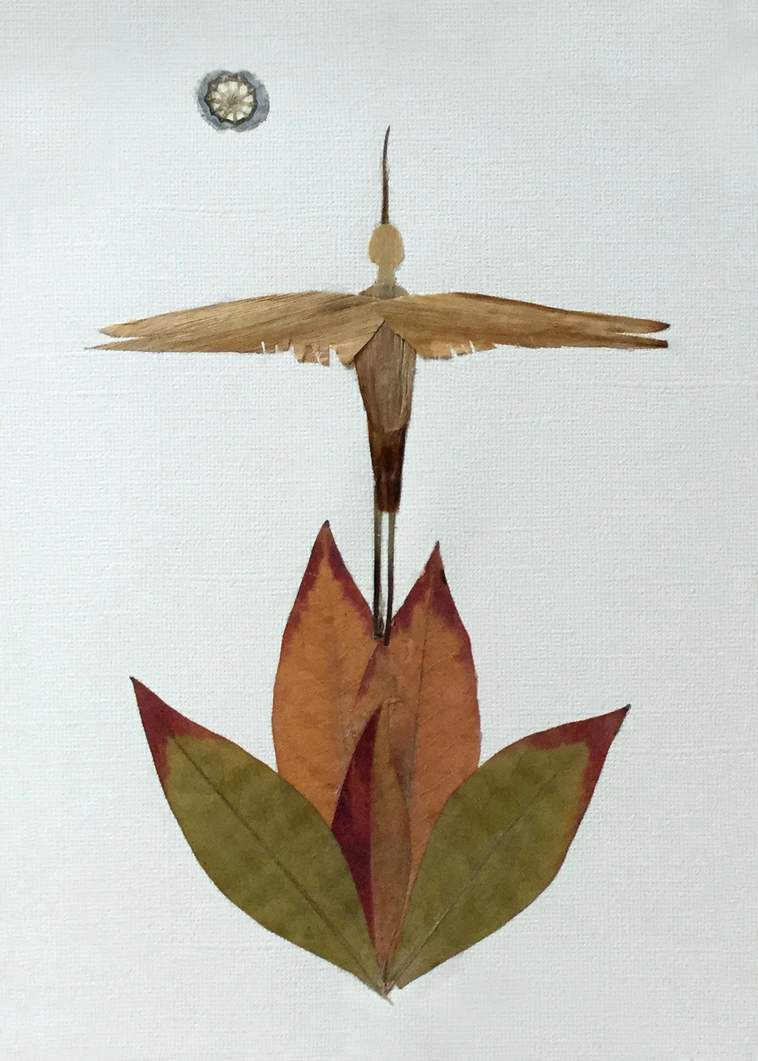 “Flaming Phoenix/Rising from the Ashes”