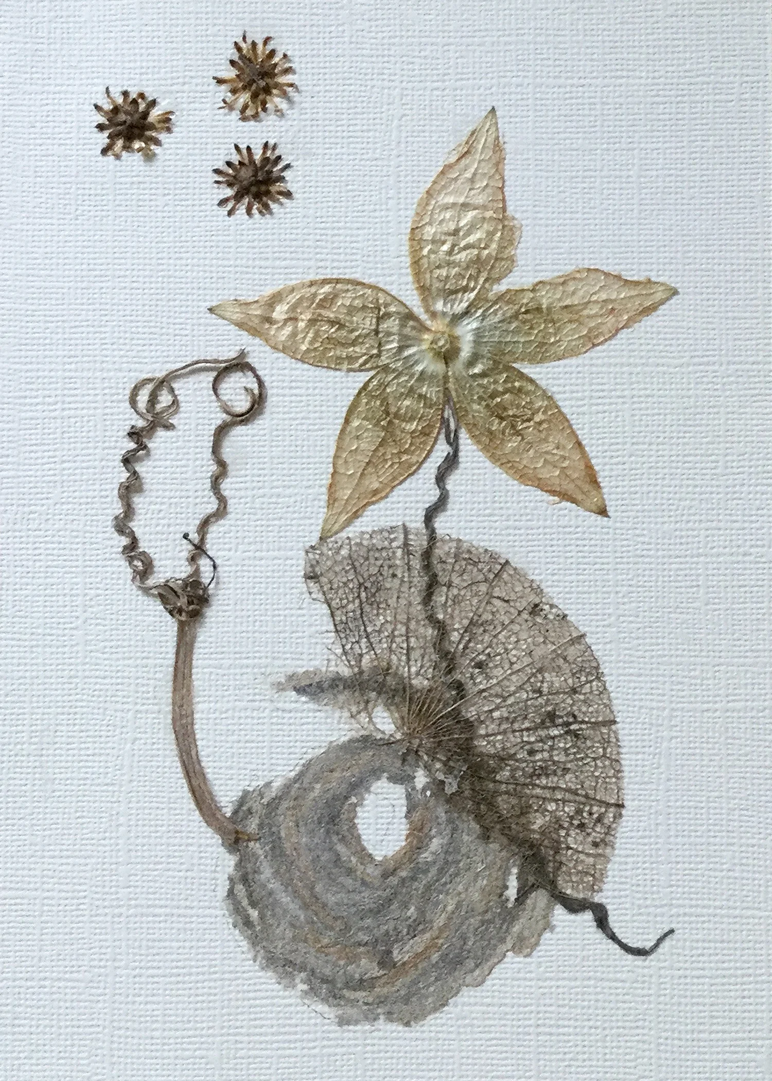 “Signatures of Becoming”