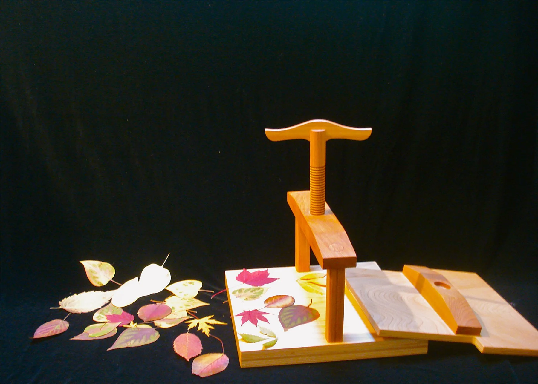 Moosehead Lake-02 (birch).JPG