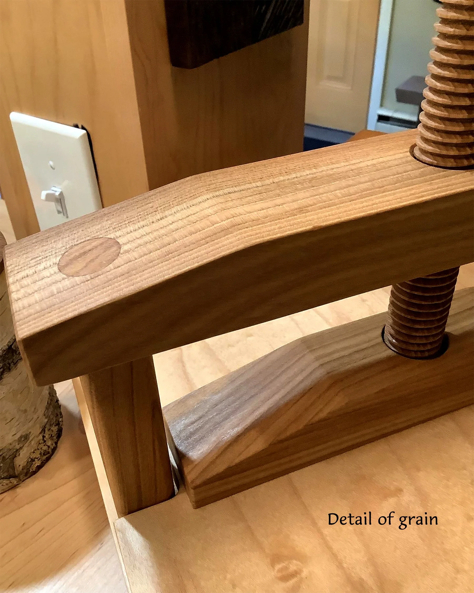 'Fish House' elm-02 (grain detail).jpg