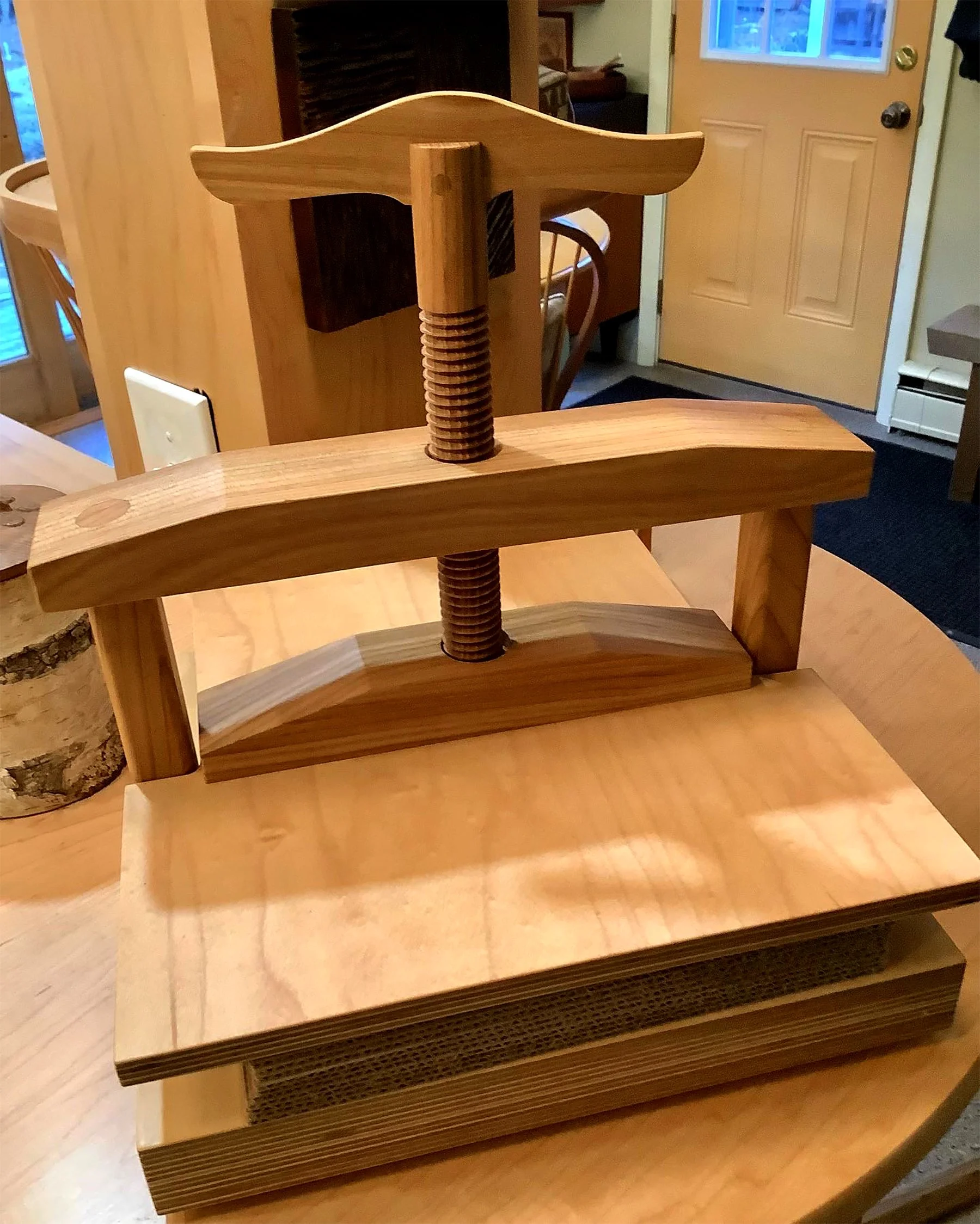 'Fish House' elm-01.jpg