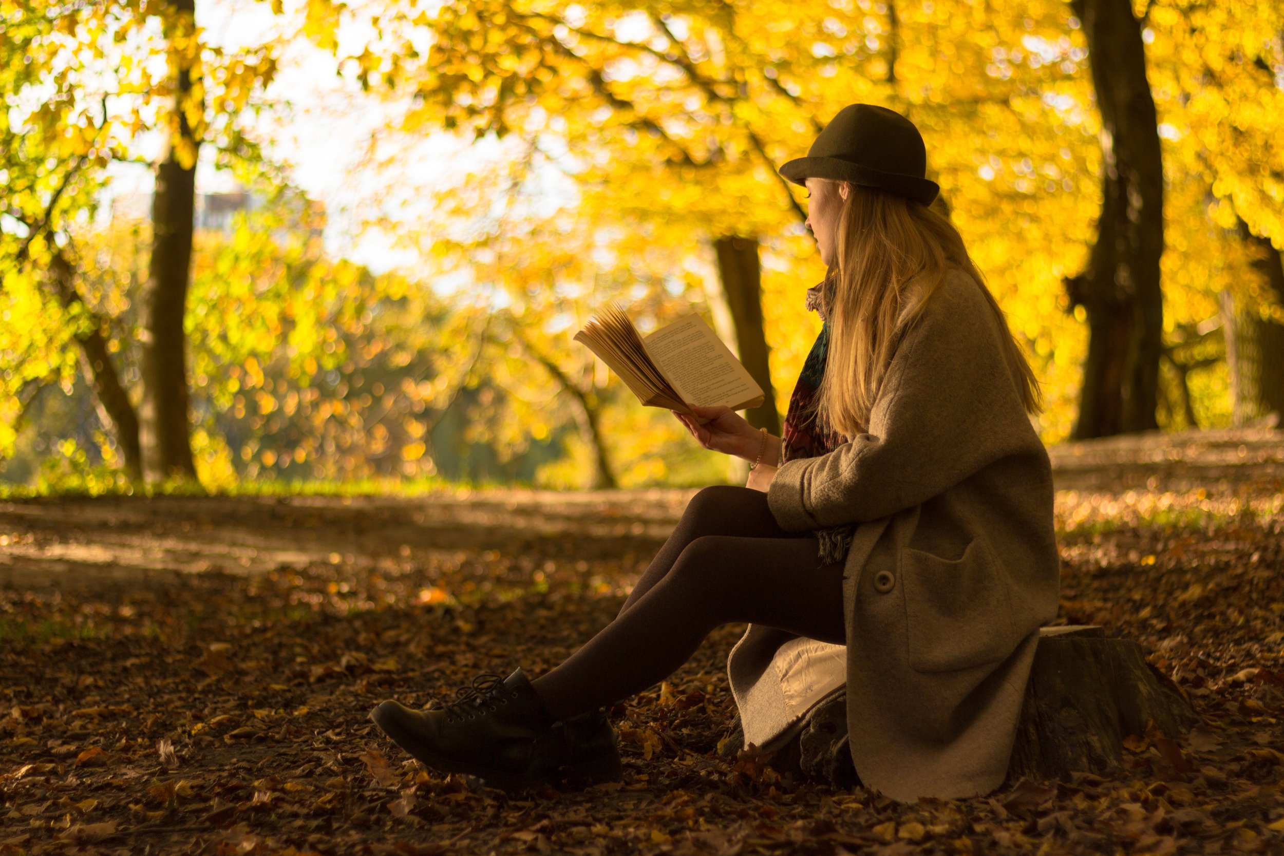 My Fall 2022 Reading List Abigail Folds my-fall-2022-reading-list-abigail-folds